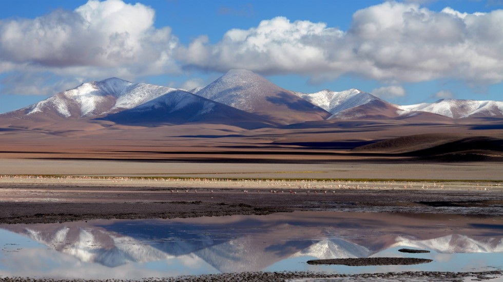 "reflejos" de Edith Polverini