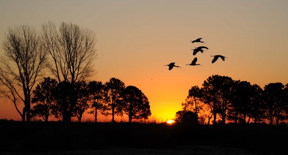 "atardecer" de Edith Polverini