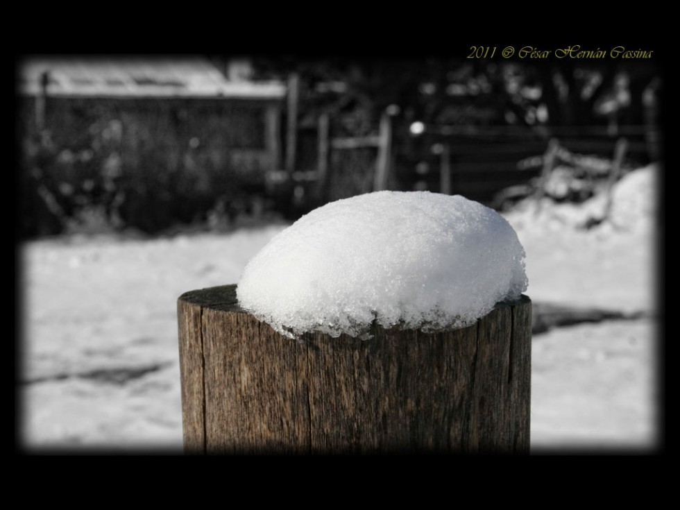 "Cantidad de nieve cada" de Csar Hernn Cassina