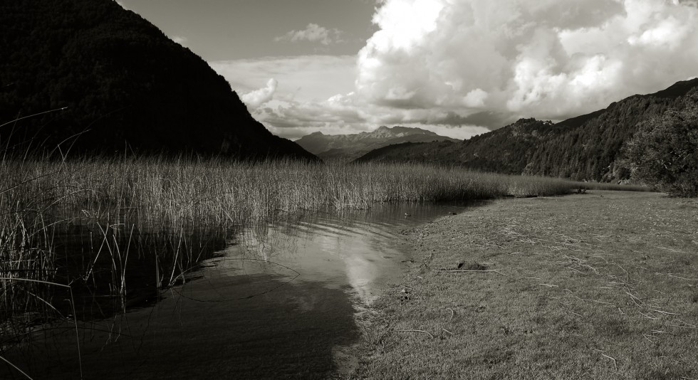 "Lago Verde" de Gisele Burcheri