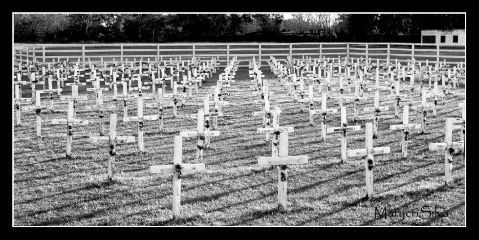 "Cenotafio de Malvinas en Pilar" de Maria Cristina Silva