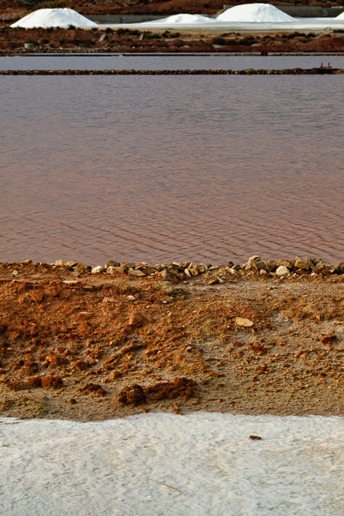 "salinas" de Francisco Jos Cerd Ortiz