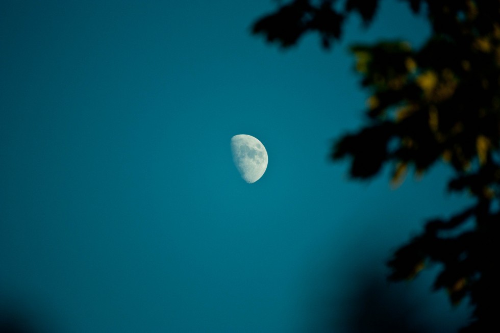"luna" de Arturo Mozcozo
