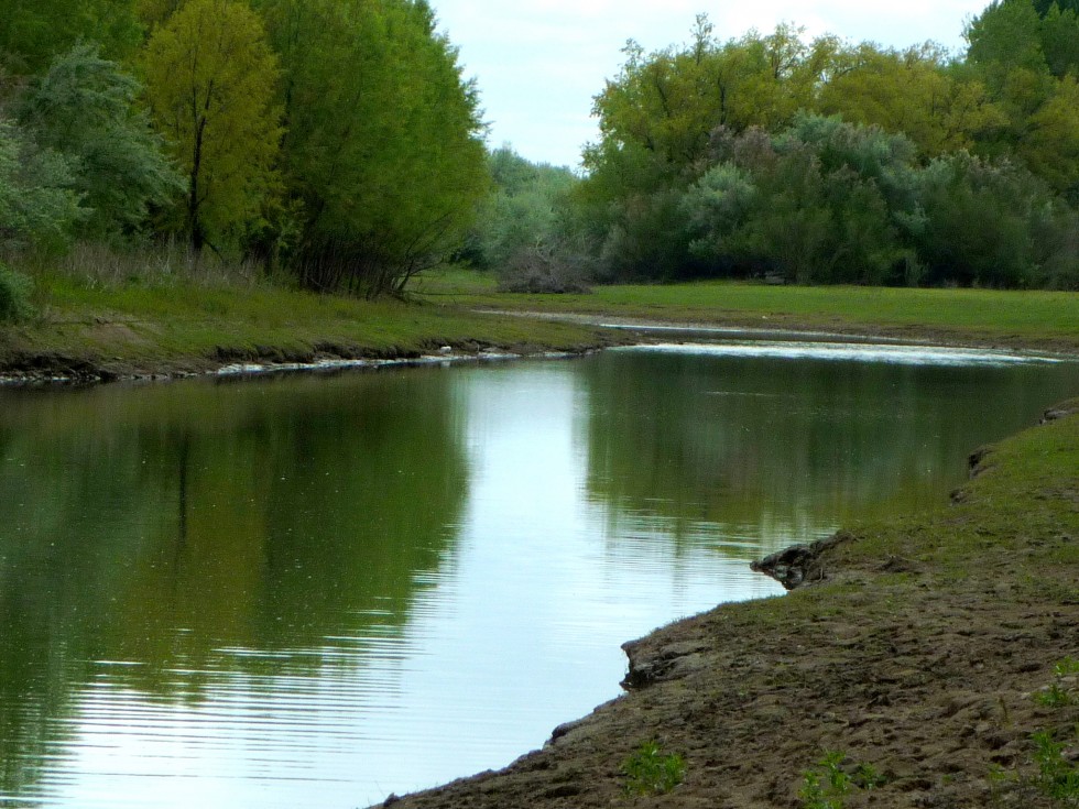 "espejo de agua" de Margarita Aqueveque