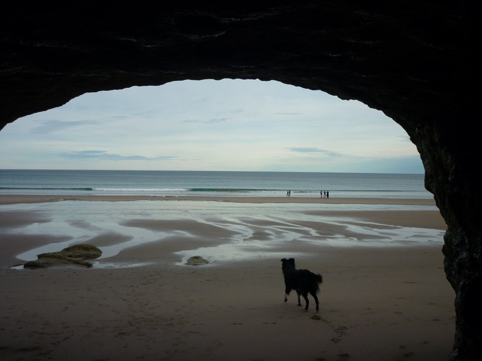 "Solo en las grutas" de Margarita Aqueveque