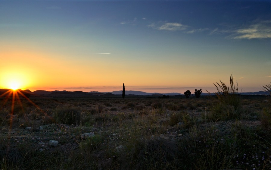 "Atardecer" de Francisco Jos Cerd Ortiz