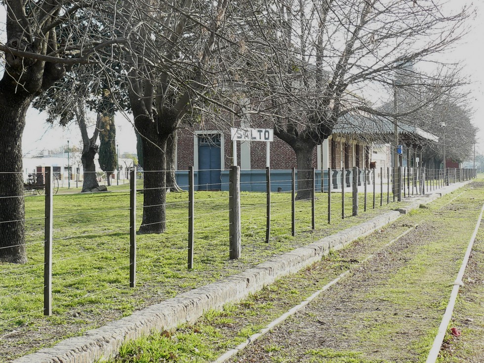 "salto y el tren" de Ramon Salinas