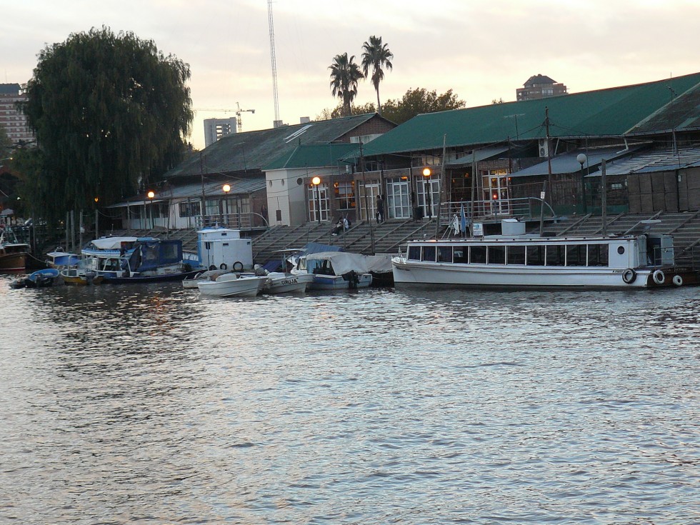 "tigre" de Ramon Salinas