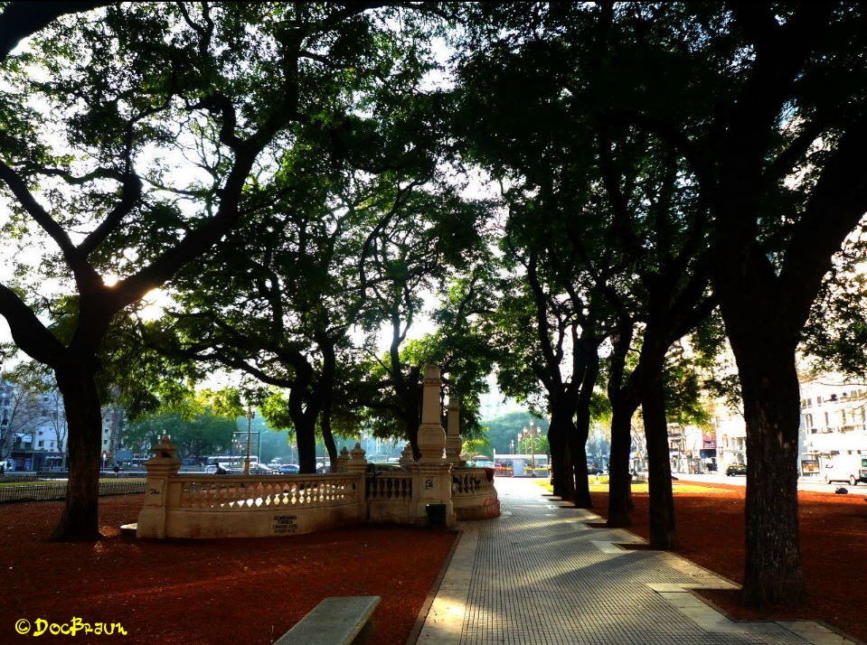 "Plaza en Congreso" de Juan Jos Braun