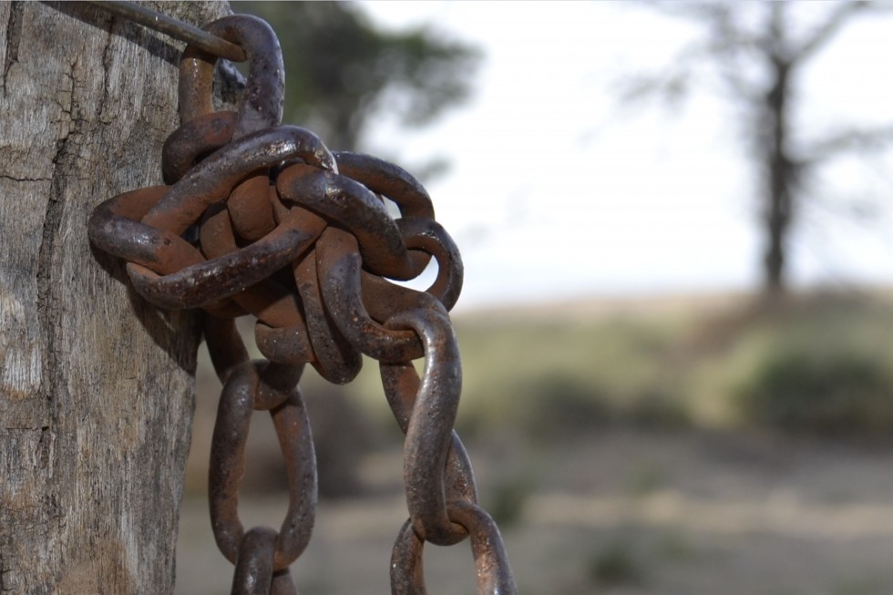 "cadena" de Adrian Mellinger