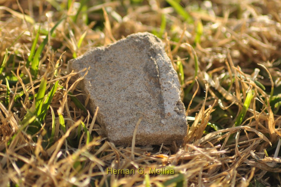 "Una piedra en el camino" de Hernan G. Molina