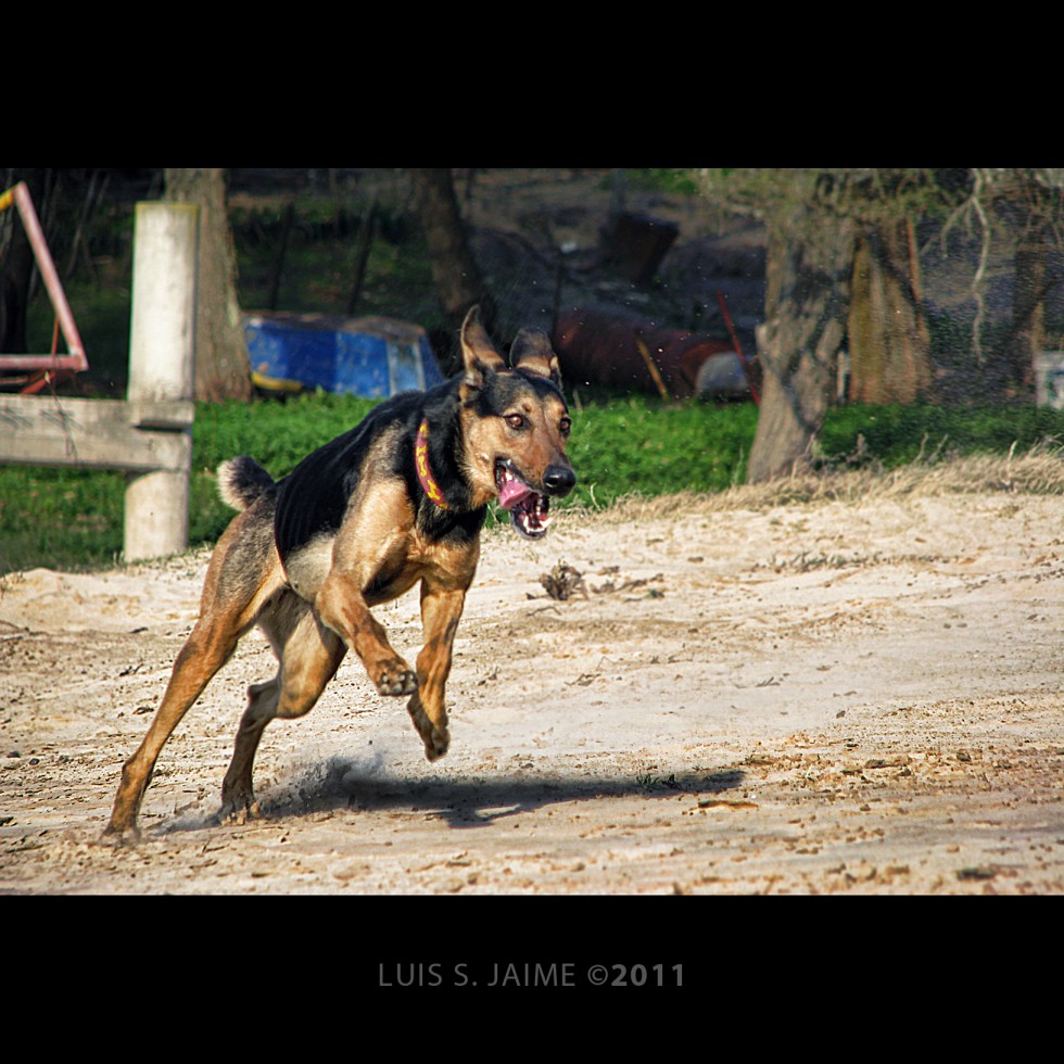 "Corre!" de Luis S. Jaime