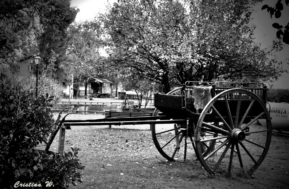 "Carro en descanso...." de Cristina Wnetrzak