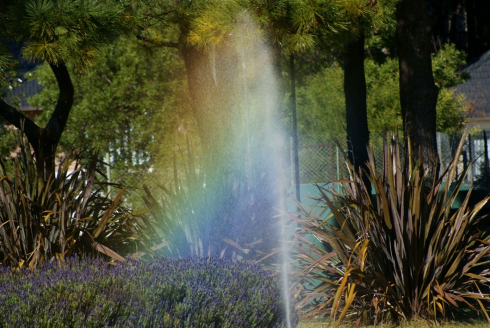 "Lluvia de colores" de Edgardo Lichtensztein