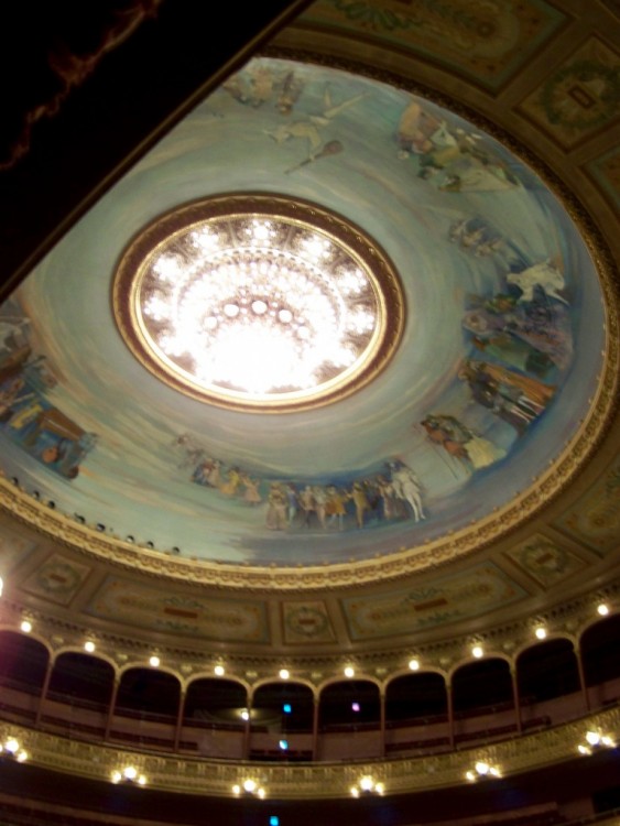 "Teatro Coln para Amalia Rino II" de Diego Bertaina