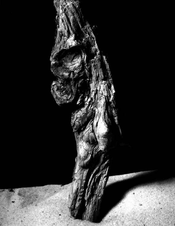 "Medio rostro en madera" de Guillermo Toso Stolbizer