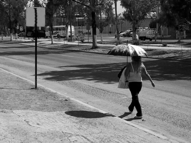 "Barrera ante los Rayos del Sol" de Gustavo Rodriguez Mena