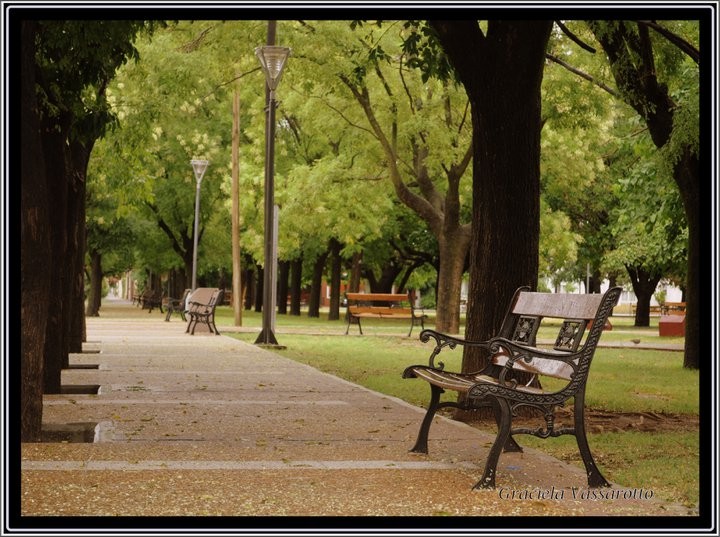 "`Tarde de lluvia`" de Graciela Del Rosario Vassarotto