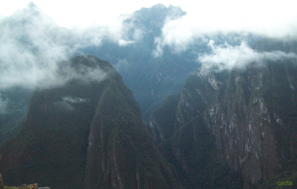 "`Majestuoso`" de Carlos Alberto Torres