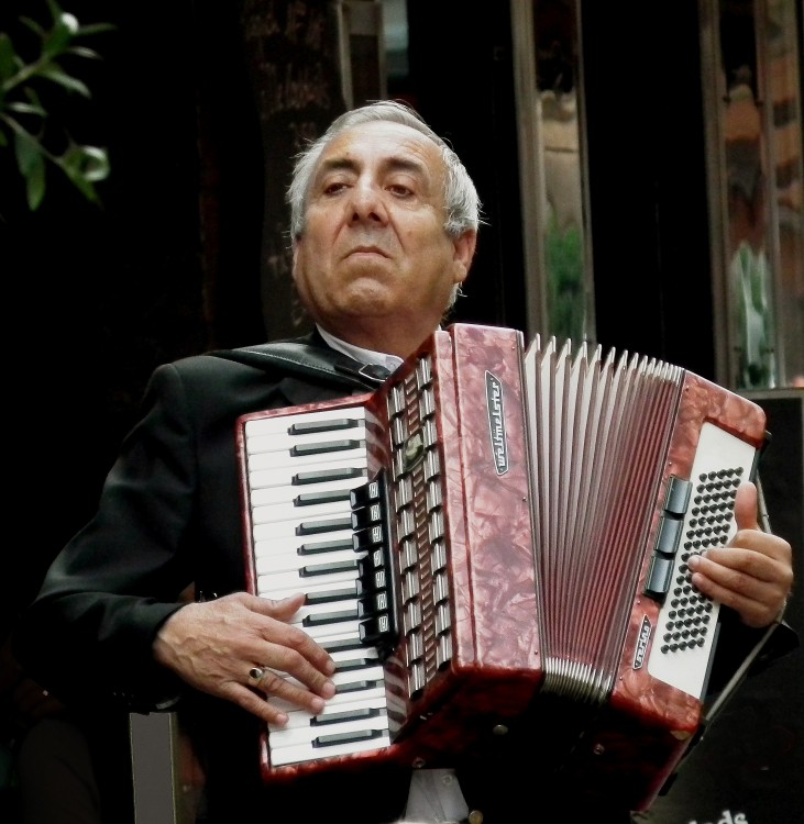 "El acordeonista de Praga" de Gerardo Saint Martn