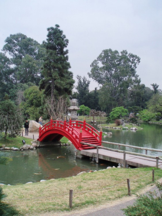 "Puente" de Alejandra Gientikis Tarantino