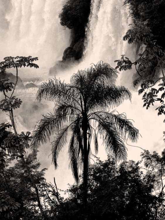 "Iguaz" de Eduardo Ponssa