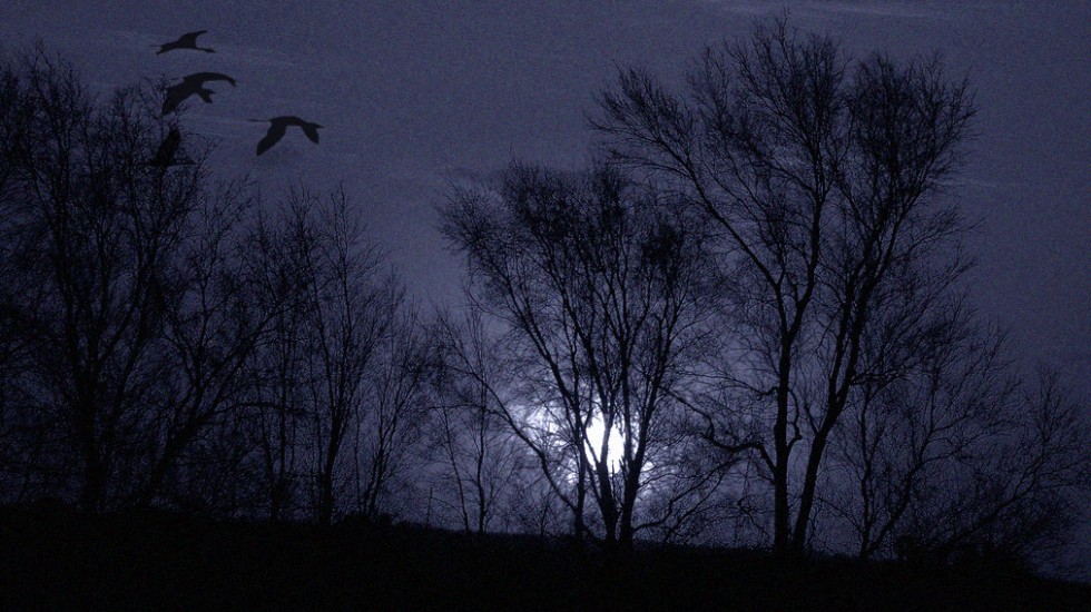 "noche de luna llena" de Edith Polverini