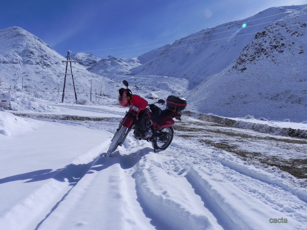 "`Mi amiga fiel jugando en la nieve`" de Carlos Alberto Torres