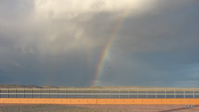 "despues de la lluvia..." de Maria C. Fernandez