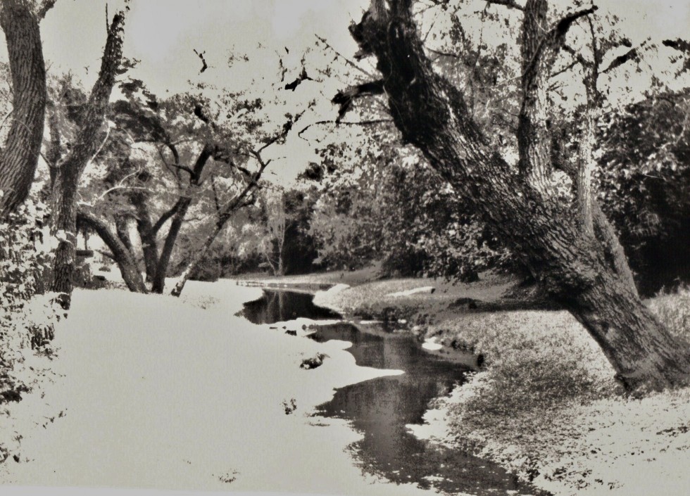 "arroyo" de Leonardo Bertolino