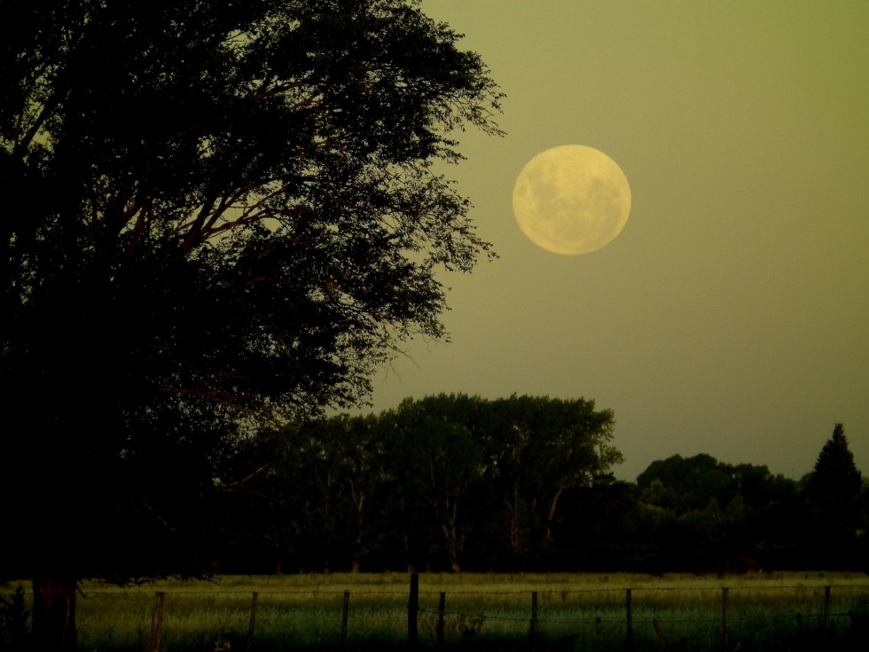 "El da de la luna grande" de Gerardo Saint Martn