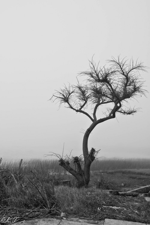 "Solitario" de Karina Techera