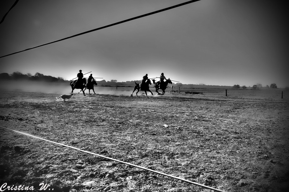 "Al galope tendido...." de Cristina Wnetrzak