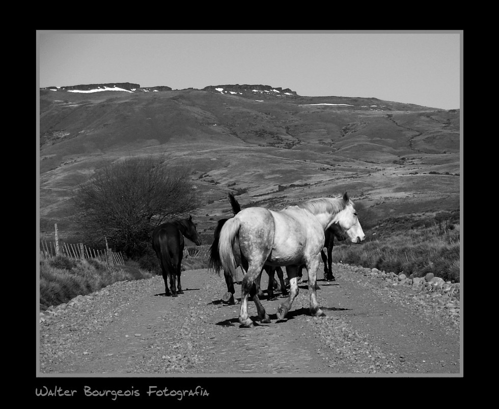 "En el camino..." de Walter Bourgeois