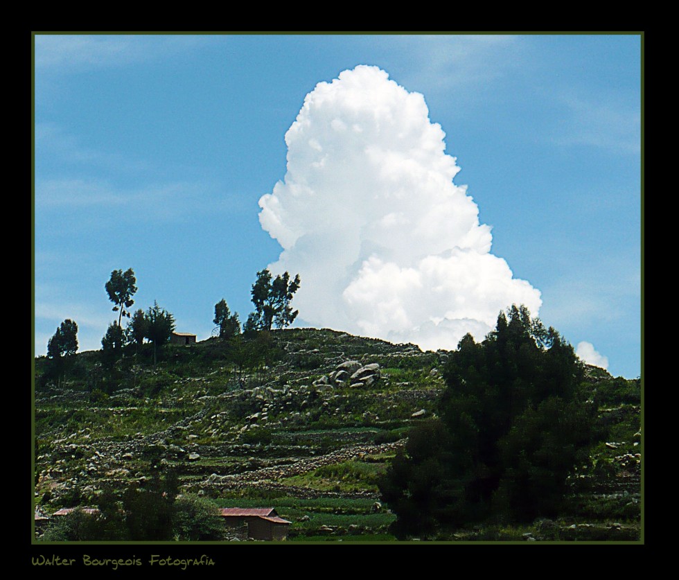 "Hacia el cielo..." de Walter Bourgeois