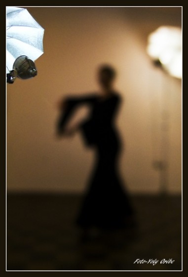 "La sombra del Flamenco!" de Yolanda Isabel Oribe