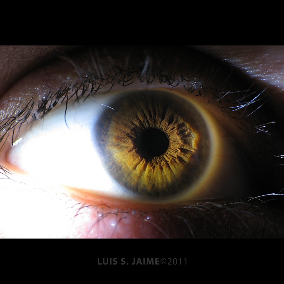 "Geografa ocular: IRIS." de Luis S. Jaime