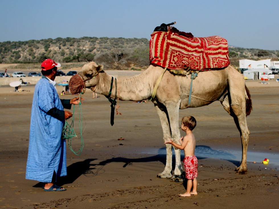 "camello, camellero y chico" de Yulia Lyulkina