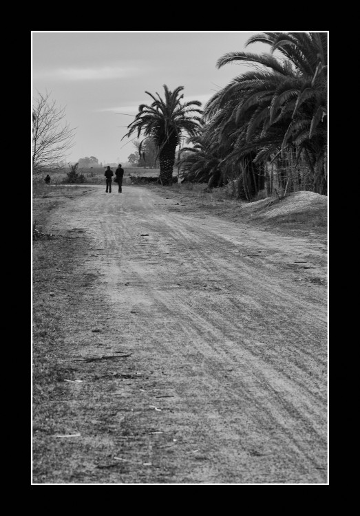 "Lovers on the road" de Analia Coccolo