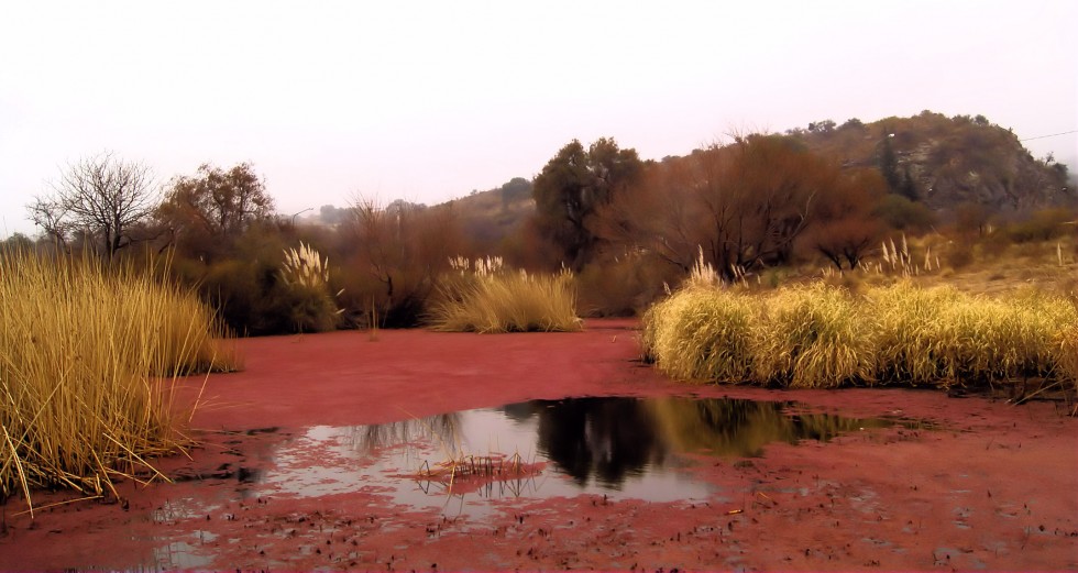 "El pequeo lago rojo (2)" de Jorge Muoz Graf