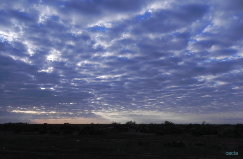 "`Cuando el cielo se agrieta`" de Carlos Alberto Torres