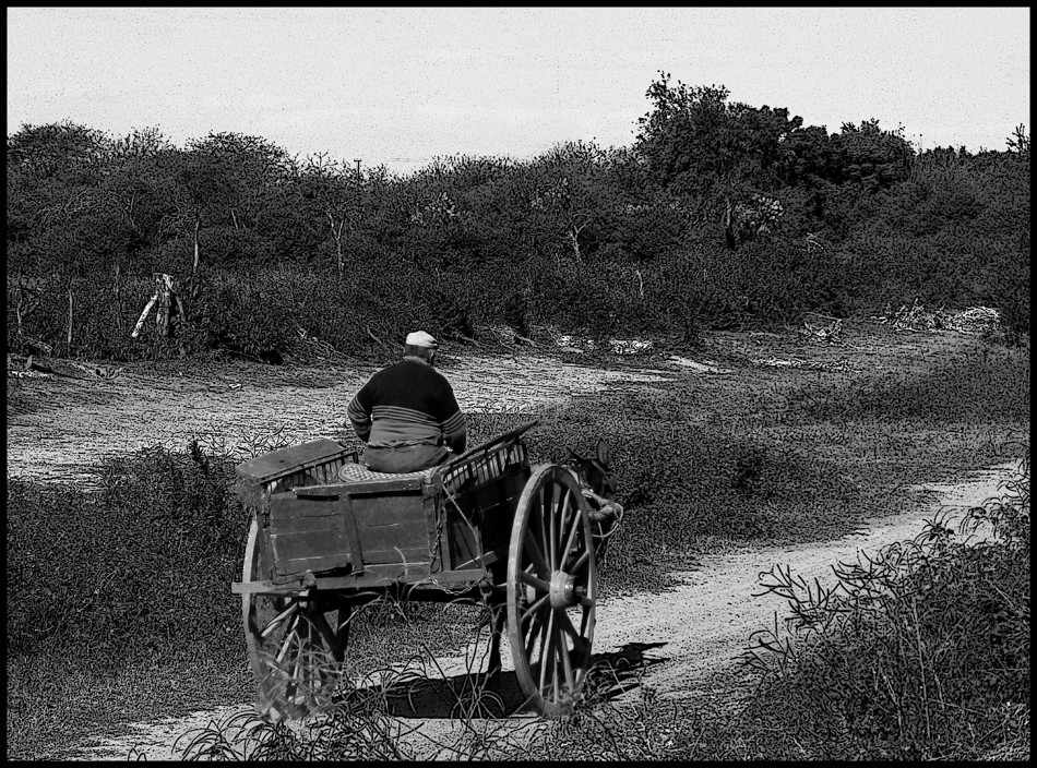 "Un largo camino a casa II" de Ruben Perea