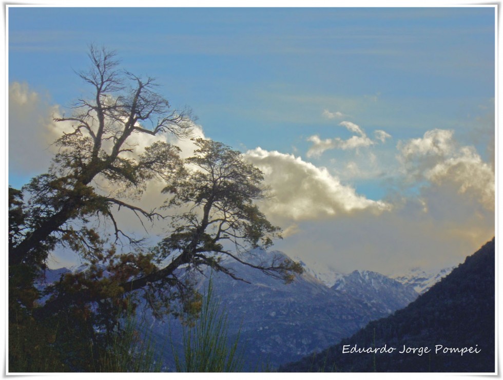 "Vista Cordillerana" de Eduardo Jorge Pompei