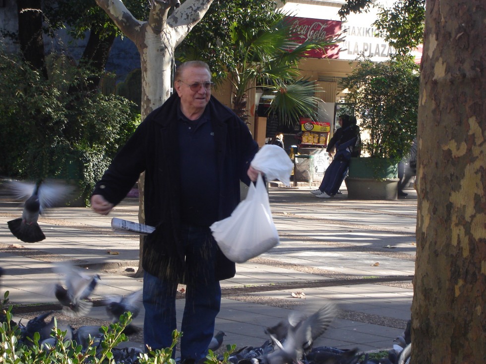 "El viejo de las palomas..." de Gladys Susana Fiorilli