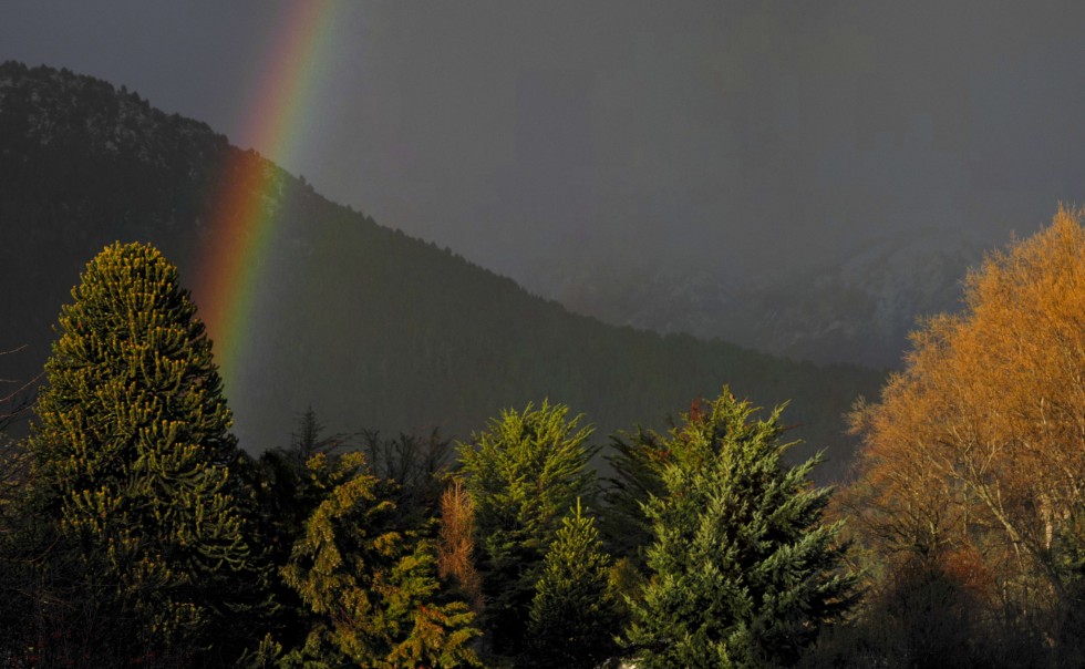 "rainbow" de Eduardo Sagues