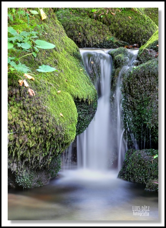 "cortina de agua" de Luis Dez