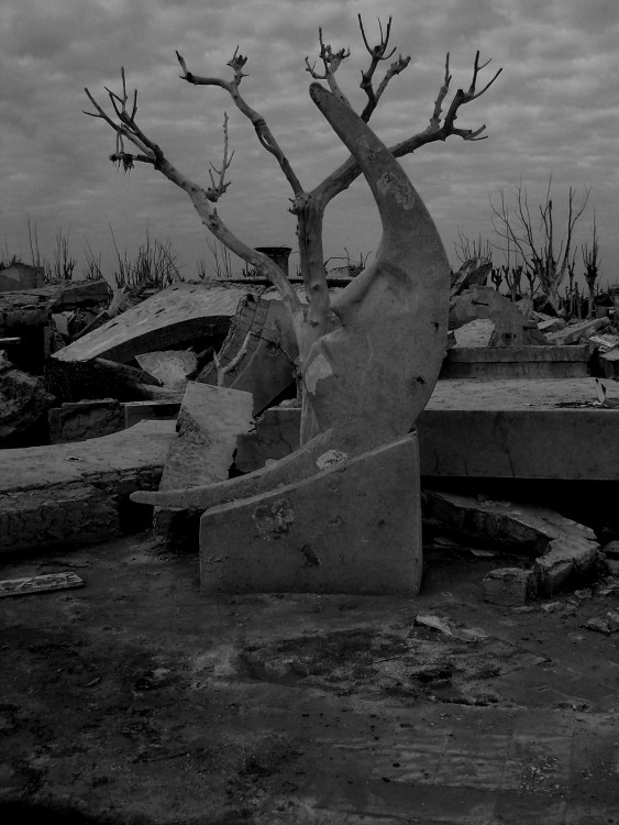 "...Y la luna bajo a contemplar el dolor" de Sandra Ermandraut