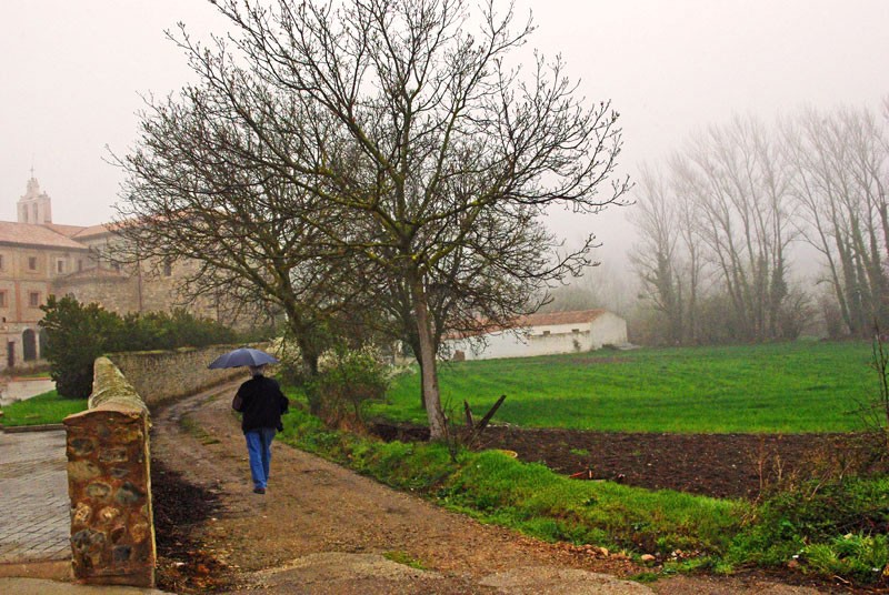 "Rumbo a la finca." de Felipe Martnez Prez