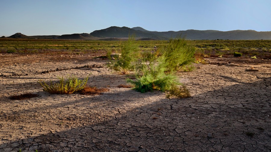 "Una sombra en el desierto" de Francisco Jos Cerd Ortiz