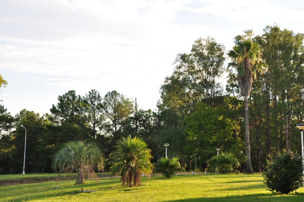 "parque entrerriano San Carlos INN.-" de Jose Alberto Vicente